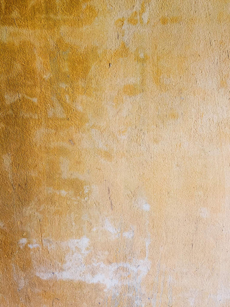 Water damage in a ceiling caused by a backed-up A/C drain line.