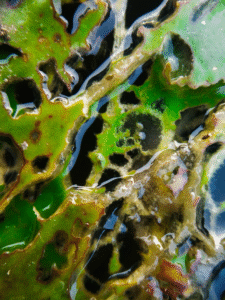 close-up-of-algae-buildup-AC-drain-line